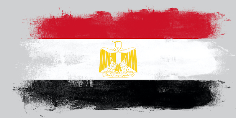 الدعاية للدستور المصري تحليل للخطاب